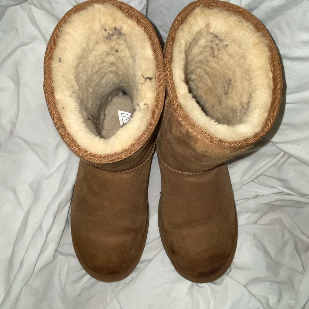 Tan UGG Short - Picture 3 of 5